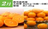 �S���{�̃t���[�c�R�[�X�@��2�e_thumb_12
