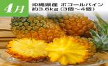 �S���{�̃t���[�c�R�[�X�@��2�e_thumb_14