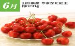 �S���{�̃t���[�c�R�[�X�@��2�e_thumb_16