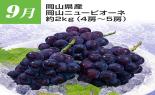 �S���{�̃t���[�c�R�[�X�@��2�e_thumb_7
