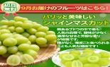 �S���{�̃t���[�c�R�[�X�@��7�e_thumb_4