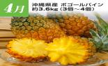 �S���{�̃t���[�c�R�[�X�@��9�e_thumb_10