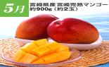 �S���{�̃t���[�c�R�[�X�@��9�e_thumb_11