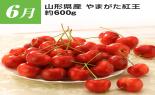 �S���{�̃t���[�c�R�[�X�@��9�e_thumb_12