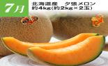 �S���{�̃t���[�c�R�[�X�@��9�e_thumb_13