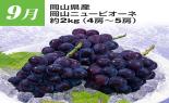 �S���{�̃t���[�c�R�[�X�@��9�e_thumb_15