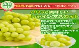 �S���{�̃t���[�c�R�[�X�@��9�e_thumb_3