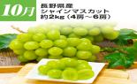 �S���{�̃t���[�c�R�[�X�@��9�e_thumb_4