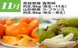 �S���{�̃t���[�c�R�[�X�@��9�e_thumb_5