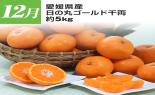 �S���{�̃t���[�c�R�[�X�@��9�e_thumb_6