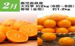 �S���{�̃t���[�c�R�[�X�@��9�e_thumb_8
