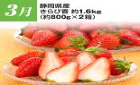 �S���{�̃t���[�c�R�[�X�@��9�e_thumb_9