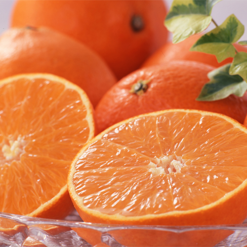 �g�܂ǂ�ȁ@��2.5����_main_1