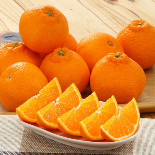 �n�E�X�f�R�|���@��2.8kg_main_1