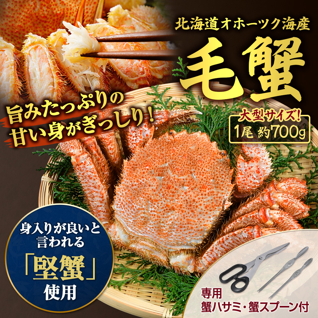 �k�C���I�z�[�c�N�C�Y�@�уK�j_main_2