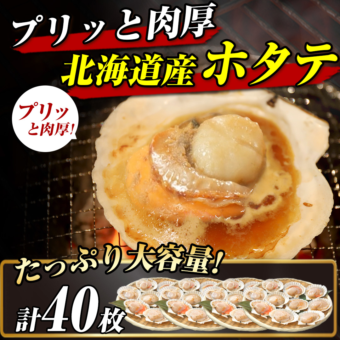�k�C���Y�@�z�^�e�ЊL�@�v40��(10������x4��)_main_2