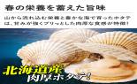 �k�C���Y�@�z�^�e�ЊL�@�v40��(10������x4��)_thumb_3