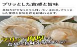 �k�C���Y�@�z�^�e�ЊL�@�v40��(10������x4��)_thumb_4