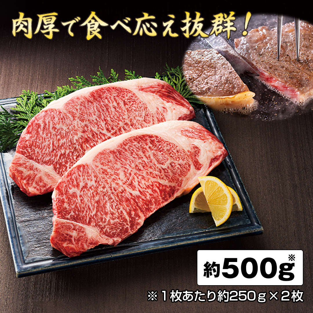 �����������@���[�X�X�e�[�L�@�v500g_main_2