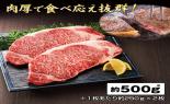 �����������@���[�X�X�e�[�L�@�v500g_thumb_2