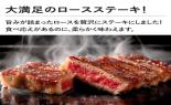 �����������@���[�X�X�e�[�L�@�v500g_thumb_6