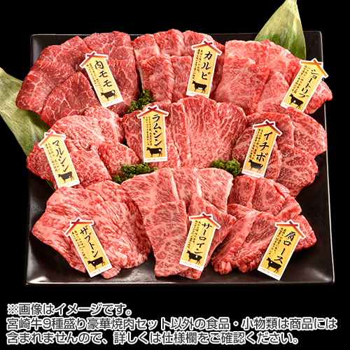 �{�苍�ē�9��Z�b�g_main_1