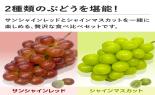 �R�����Y�{�̎�Ȃ��Ԃǂ��Z�b�g_thumb_2