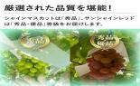 �R�����Y�{�̎�Ȃ��Ԃǂ��Z�b�g_thumb_6