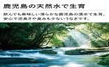 �R�c���Y�@���������Y�@�V���ā@2��_thumb_3