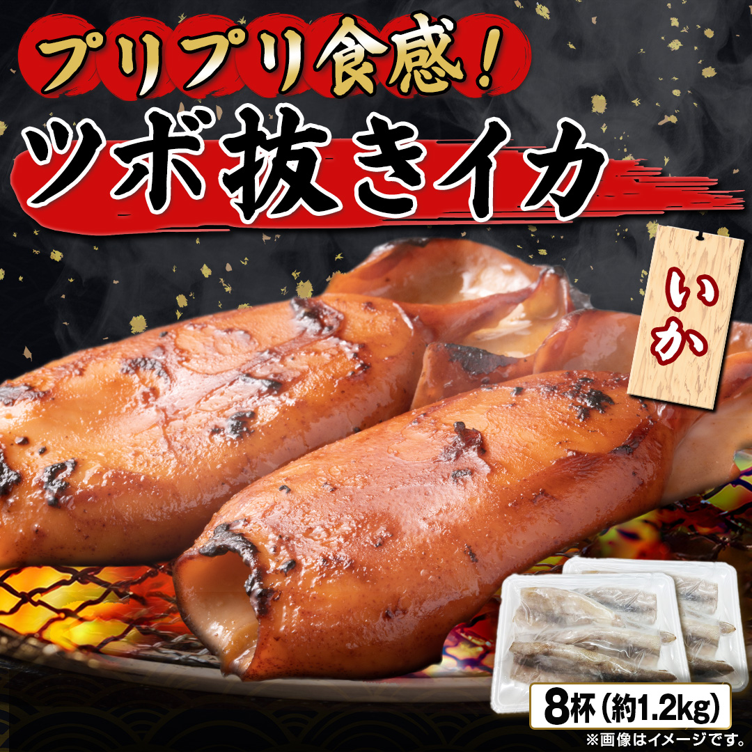�c�{���������@�W�t�i��1.2kg�j_main_1