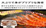 �k�C���Y�@�z�^�e�ЊL�@10��_thumb_5