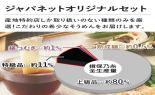 �艄�f�ˁu�K�۔T���v�����i�Ђ�JT20��_thumb_7