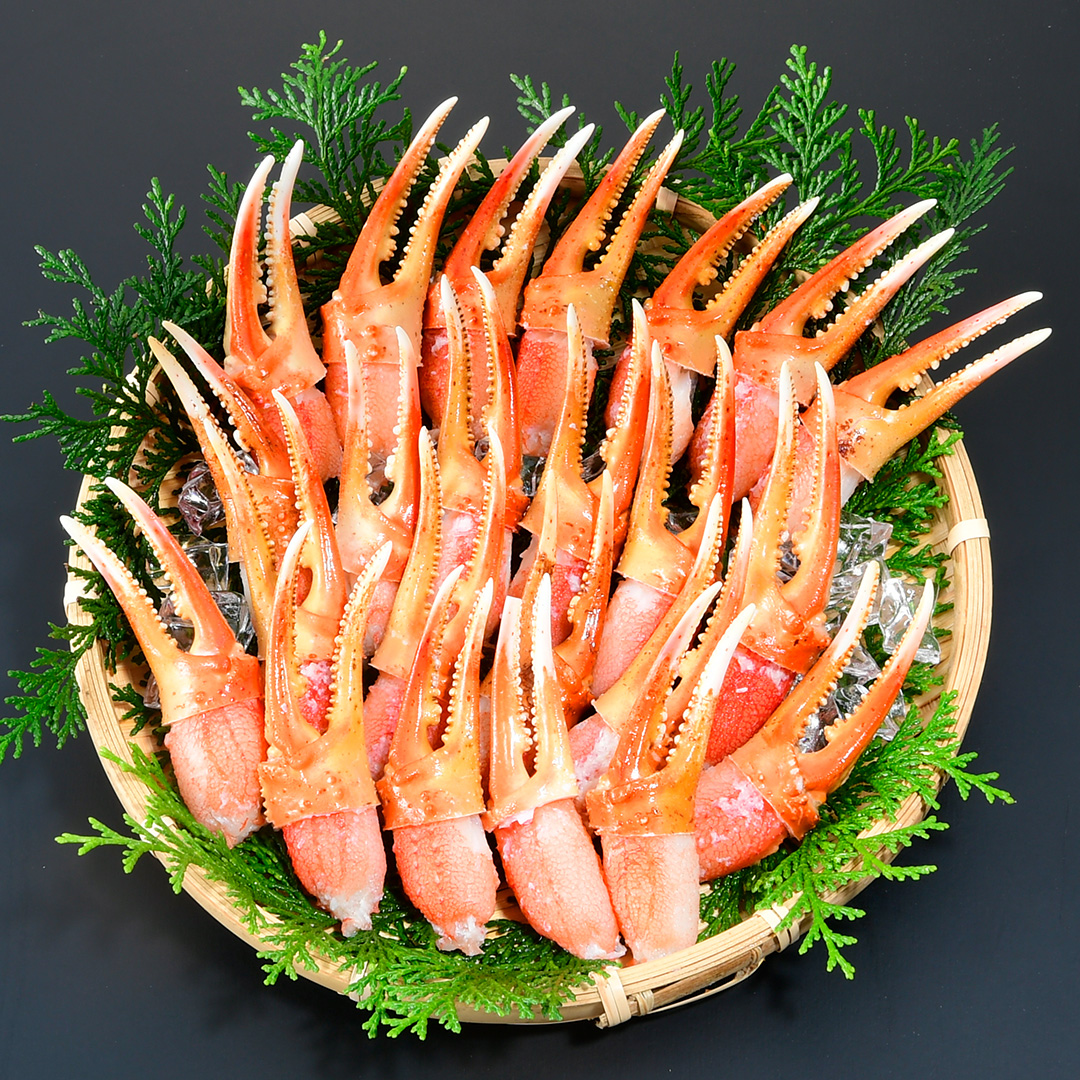 {C킢ɒ܁@800_main_2