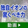 �V���[�v�@�v���Y�}�N���X�^�[�G�A�R���@TD�V���[�Y�@���18��@�z���C�g�n�@AY-U56TD2_thumb_2