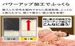 ���a����@�J�i�_�Y�_�E��90���H�ѕz�c�@SD�@���C�����b�h�@JCA26902WR_thumb_3