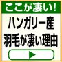 ���������@�n���K���[�Y�_�E��90�����C�������x���@S�@�u���[�@JRF701SE_thumb_3