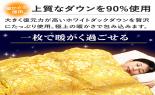 ���������@�n���K���[�Y�_�E��90�����C�������x���@SD�@�S�[���h�@JRF702ML_thumb_10