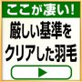 ���������@�n���K���[�Y�_�E��90�����C�������x���@SD�@�S�[���h�@JRF702ML_thumb_4