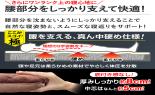 ���������@�X���[�f�B�[�h���C�iR�j�~�z�c�u�Ɂv�@NEW�@�u���E���@JBA2600_thumb_9