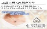 �v���`�i�@0.35�����@�_���V���O�X�g�[���l�b�N���X�@FTW-4578PT_thumb_7
