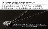 �v���`�i�@0.35�����@�_���V���O�X�g�[���l�b�N���X�@FTW-4578PT_thumb_8