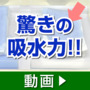 �G�A�[������Ɂ@�n�[�t�o�X�^�I���S���g�@�@�n�[�t�o�X�^�I���@JAT300_thumb_2
